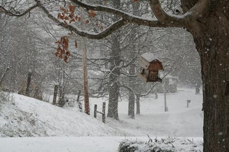 Winter memories Image